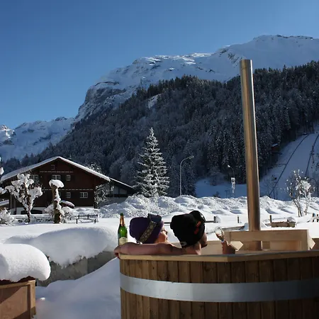 Hotel Ski Lodge Engelberg 3*