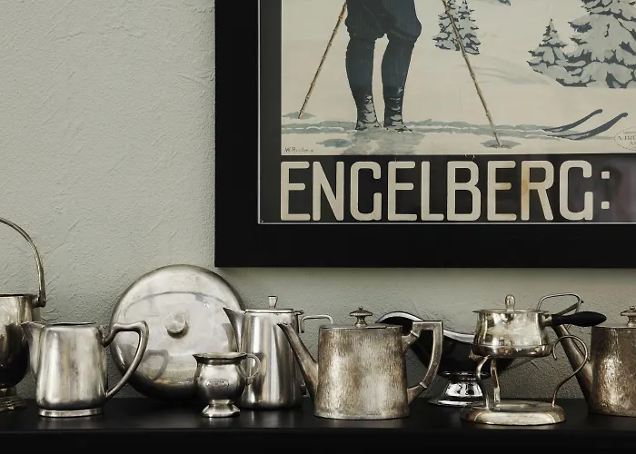 Hotell Ski Lodge Engelberg Engelberg