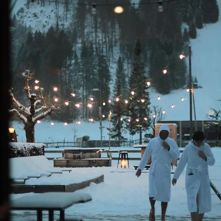 Ski Lodge Engelberg Отель 3*