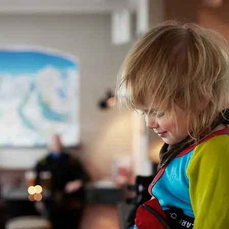 Отель Ski Lodge Engelberg