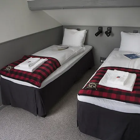 Отель Ski Lodge Engelberg