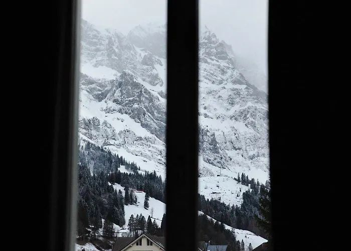 Ski Lodge Engelberg Hotel