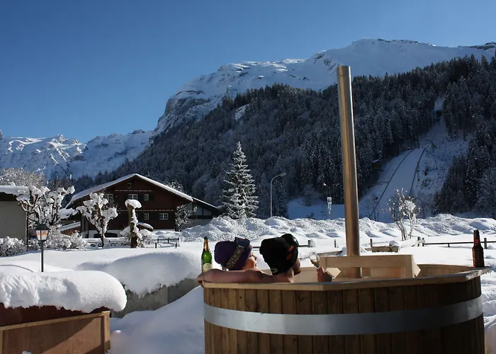 Hotel Ski Lodge Engelberg 3*